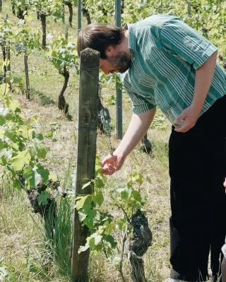 Thumbnail Cata de vinos naturales de Burdeos en el Château Shuette