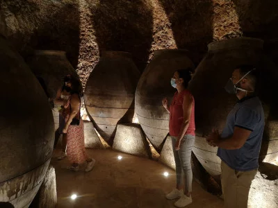 Thumbnail Traditionelle Weingut Besichtigung und Weinprobe ab Madrid