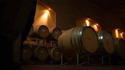 Thumbnail Premium Cru wine tasting at Cantina Gigi Rosso in Langhe