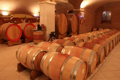 Thumbnail Verkostung von Bio-Valpolicella mit Käse aus der Region bei Valentina Cubi in Fumane