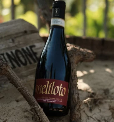 Thumbnail Cata de Valpolicella ecológico con quesos locales en Valentina Cubi, en Fumane