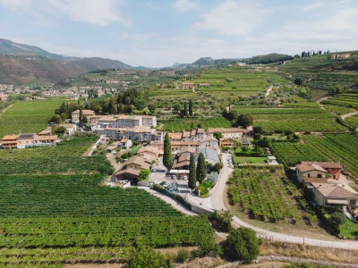 Thumbnail Organic Valpolicella Tasting with Local Cheeses at Valentina Cubi in Fumane