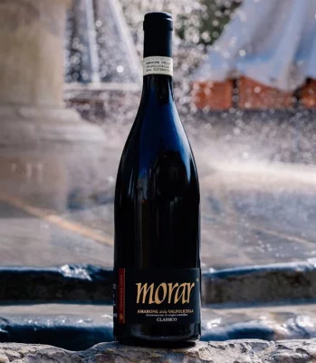 Thumbnail Vertikale Verkostung des „Morar“-Amarone bei Valentina Cubi im Valpolicella