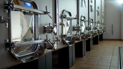 Thumbnail Visite et dégustation de vins avec des produits locaux chez D'Erasmo Vini