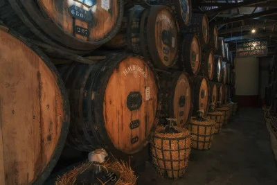 Tour e degustazione eccellenti!