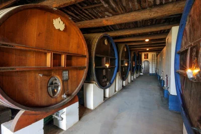 Thumbnail Visit and Wine Tasting at Clos Bagatelle in Saint-Chinian