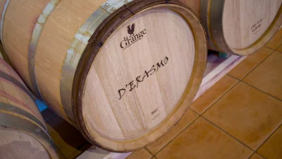 Thumbnail Visita y cata de vinos en D'Erasmo Vini