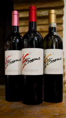 Thumbnail Visita e degustazione di vino presso D'Erasmo Vini