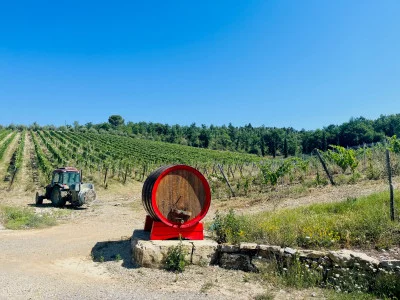 Thumbnail Degustazione verticale di Chianti Classico con prodotti toscani al Borratella di Gaiole