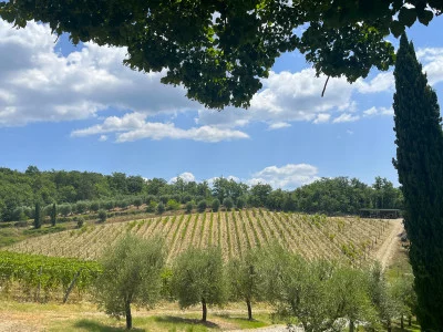 Thumbnail Vertical Chianti Classico Tasting with Tuscan Products at Borratella in Gaiole