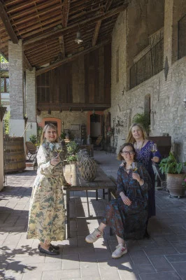 Thumbnail Winery Tour and Lugana Tasting with Local Foods at Tenuta Roveglia in Pozzolengo
