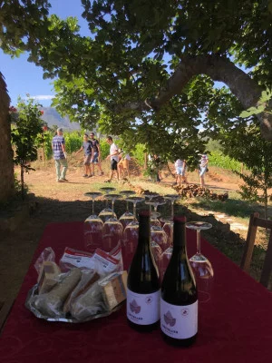 Thumbnail Wine tasting and vineyard tour at Celler Gritelles in Priorat