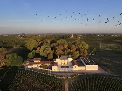 Thumbnail Dalla vite al bicchiere: Visita e degustazione a Château Moncets