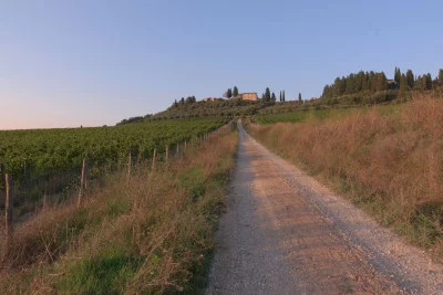 Thumbnail Benvenuti da Bibbiano, degustazione di vini nel Chianti Classico