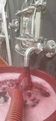 Thumbnail Une matinée avec le vigneron à la Cantina Tàia