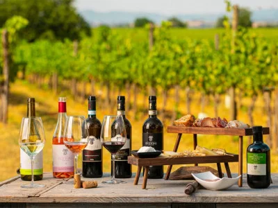 Thumbnail Svetoni: Visita y cata de vinos con aperitivos toscanos en la Fattoria Svetoni de Montepulciano
