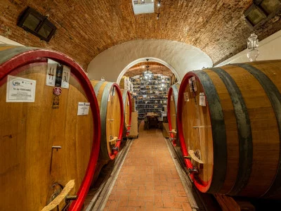 Thumbnail Svetoni: Weintour und Weinprobe mit toskanischen Vorspeisen in der Fattoria Svetoni in Montepulciano