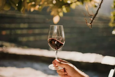 Thumbnail Guided Tour & Blind Tasting at Churchill's Lodge