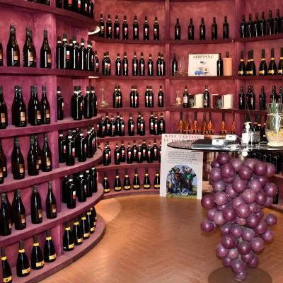 Thumbnail Pranzo toscano e degustazione di vini alla Fattoria Sant'Appiano nel Chianti