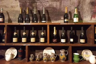 Thumbnail Escursione di un giorno sulle colline del Prosecco da Venezia e Treviso: 2 cantine