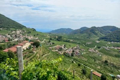 Thumbnail Excursión de un día a las Colinas del Prosecco desde Venecia y Treviso: 2 Bodegas
