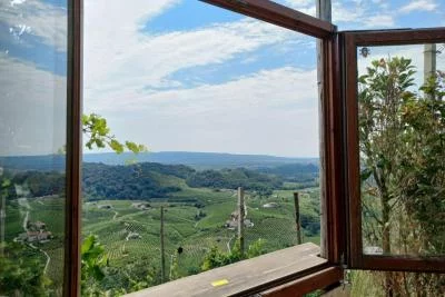 Thumbnail Excursión de un día a las Colinas del Prosecco desde Venecia y Treviso: 2 Bodegas