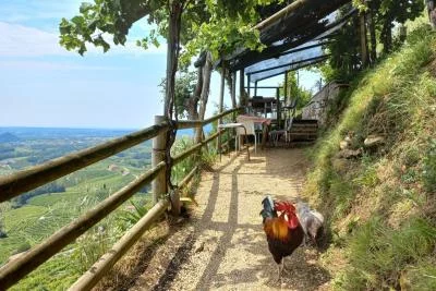 Thumbnail Prosecco Hills Day Trip from Venice & Treviso: 2 Wineries