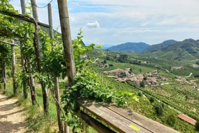 Thumbnail Excursión de un día a las Colinas del Prosecco desde Venecia y Treviso: 2 Bodegas
