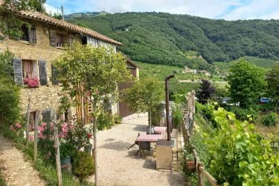 Thumbnail Escursione di un giorno sulle colline del Prosecco da Venezia e Treviso: 2 cantine