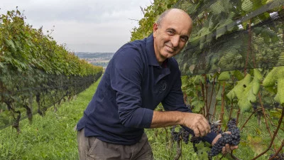 Thumbnail "Shades of Nebbiolo" Wine Experience at Cantina Stroppiana in Langhe