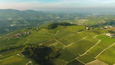 Thumbnail "Nuances de Nebbiolo", une wine experience à la Cantina Stroppiana dans les Langhe