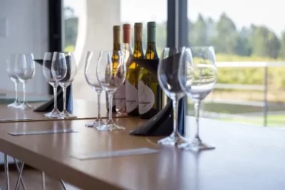 Thumbnail Vinho Verde Private Wine Tour from Porto: 2 Wineries & Wine and Cheese Tastings