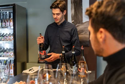 Thumbnail Degustazione di vini tradizionale e tour presso Cantina Sabaini in Val d'Illasi