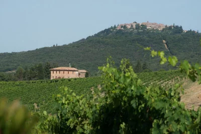 Thumbnail Tour and tasting in the land of Brunello at Tenuta Pian delle Ginestre