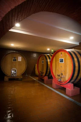 Thumbnail Visite et dégustation au pays du Brunello à la Tenuta Pian delle Ginestre
