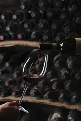 Thumbnail Grignolino & Friends Wine Experience at Vicara Winery in Monferrato