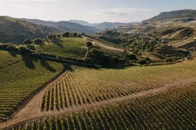 Thumbnail Tasting of High Altitude wines from Palermo to Etna at Baglio Di Pianetto