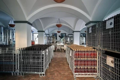 Thumbnail Wine tour del Vesuvio con degustazione di vini e pranzo da Napoli
