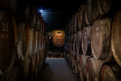 Thumbnail Private Half-Day Arrábida & Azeitão Wine Tour from Lisbon