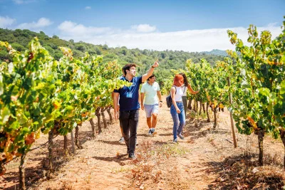 Thumbnail Tour privato di mezza giornata dei vini di Arrábida e Azeitão da Lisbona