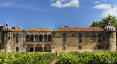 Thumbnail Private halbtägige Arrábida & Azeitão Weintour ab Lissabon