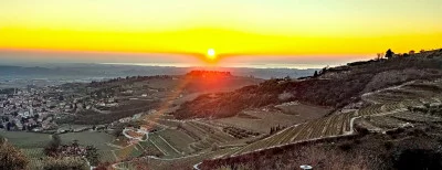 Thumbnail Dégustation de Valpolicella et d'Amarone animée par le producteur chez Boscaini Carlo