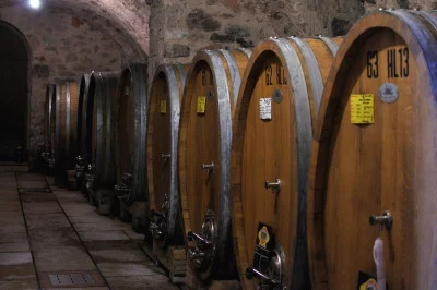 Thumbnail Producer-Led Valpolicella & Amarone Tasting at Boscaini Carlo