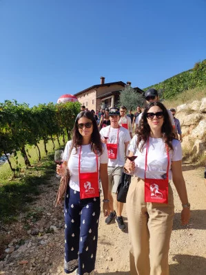 Thumbnail Von einem Winzer geleitete Valpolicella- und Amarone-Verkostung bei Boscaini Carlo