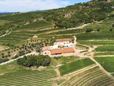 Thumbnail Von einem Winzer geleitete Valpolicella- und Amarone-Verkostung bei Boscaini Carlo