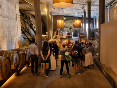 Thumbnail Full-Day Douro Valley Bus Wine Tour: 3 Vineyards & Lunch from Porto