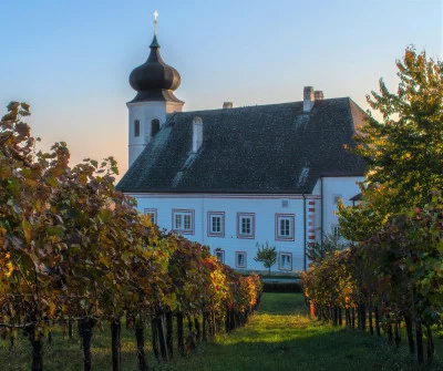 Thumbnail Vienna Woods Wine Tour