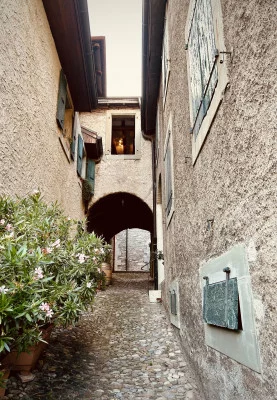 Thumbnail Erlebnis Weinberg Lavaux: Wanderung und Weinprobe