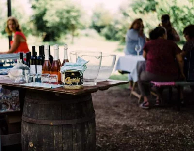Thumbnail Classic Wine Tasting Experience at AnnaFrancesca Winery