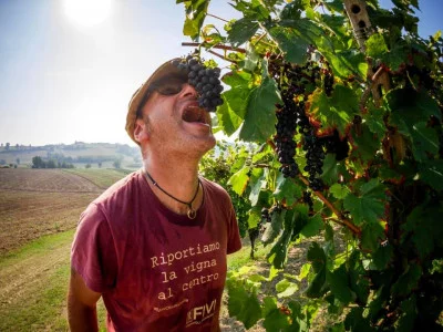 Thumbnail Trinken und Träumen: Weinprobe auf dem BES-Weingut